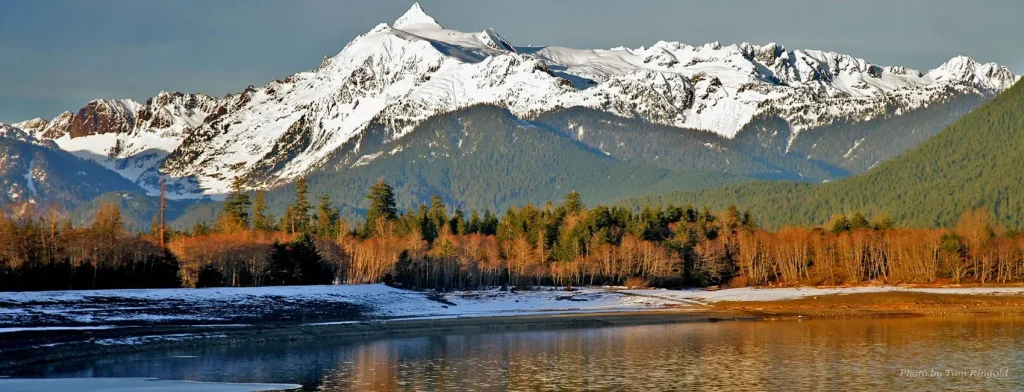 Starlink Installation in Concrete, WA