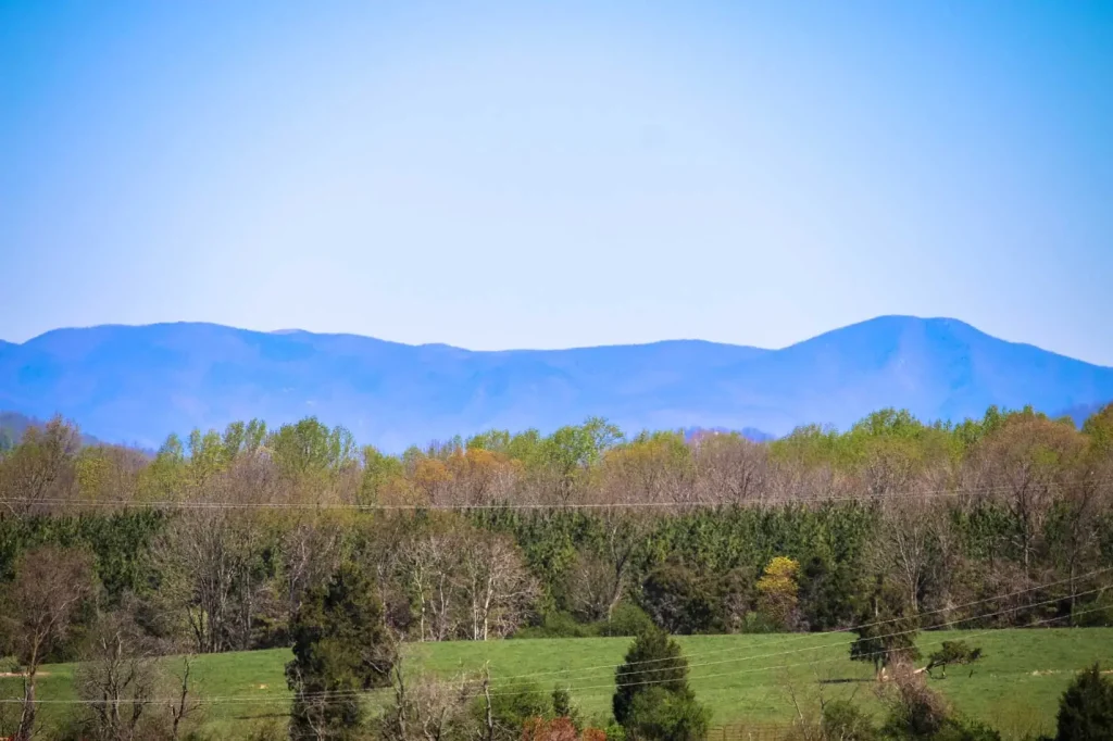 Starlink Installation in Forest, VA