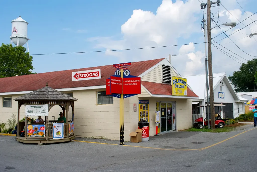 Starlink Installation in Harrington DE