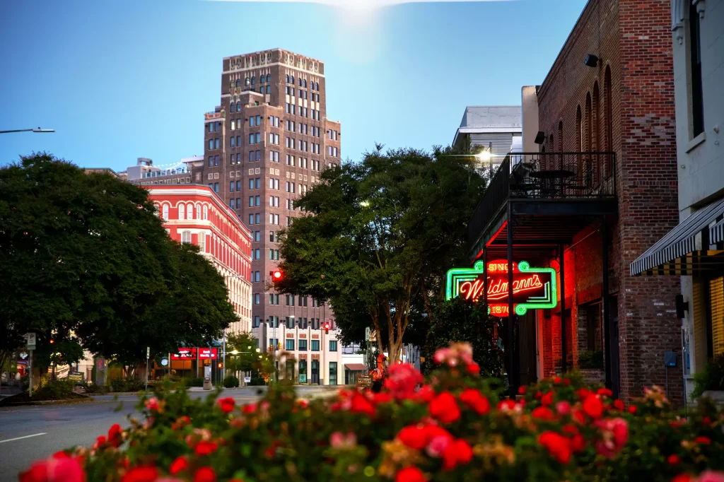 Starlink Installation in Meridian, Mississippi
