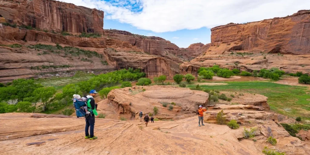 Starlink Installation in Chinle, AZ
