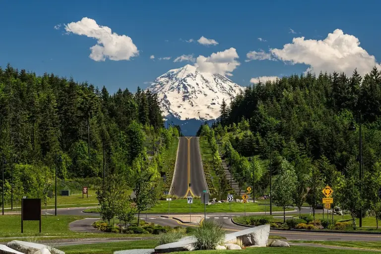 Starlink Installation in Bonney Lake, WA