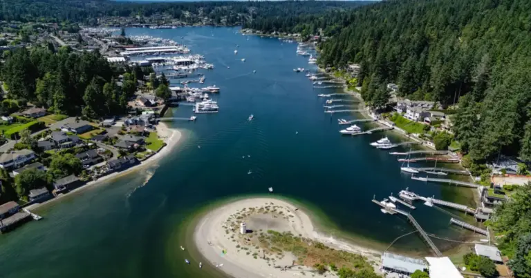 Starlink Installation in Gig Harbor, WA