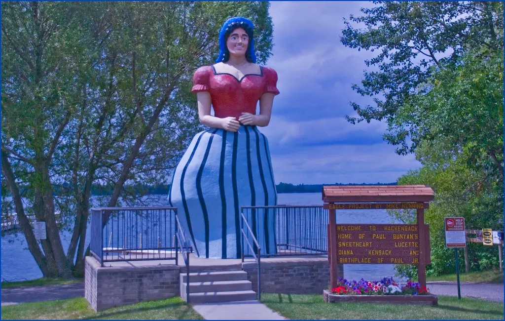 Starlink Installation in Hackensack, MN