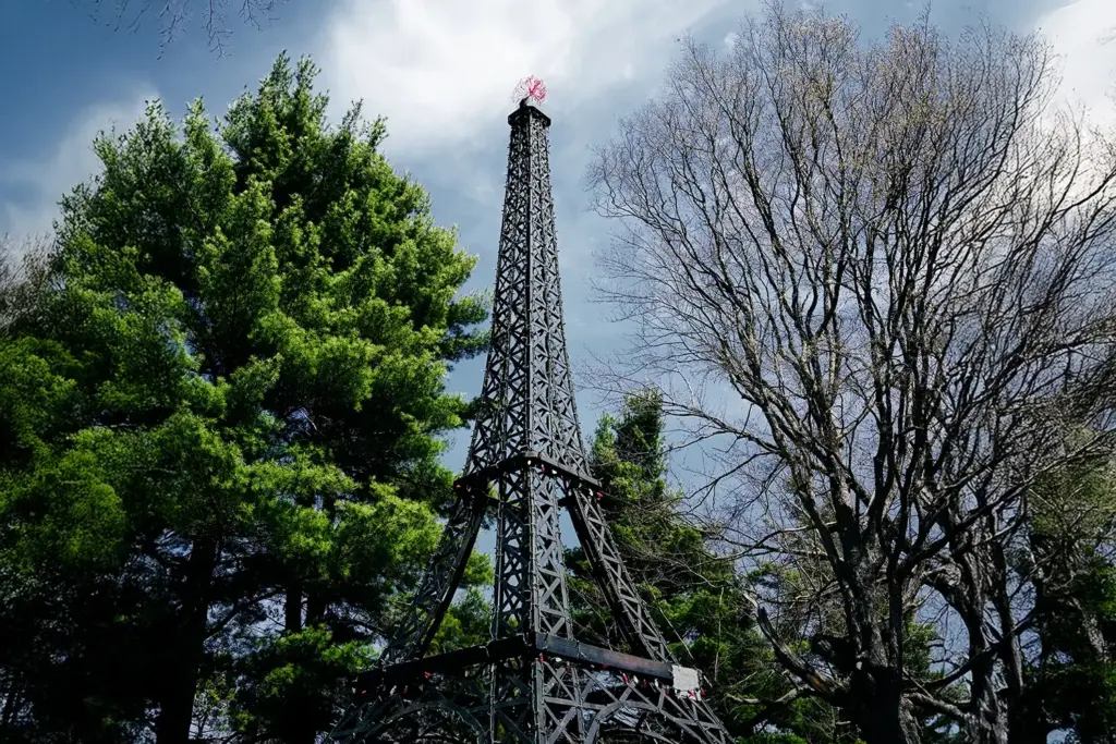 Starlink Installation in Paris, MI