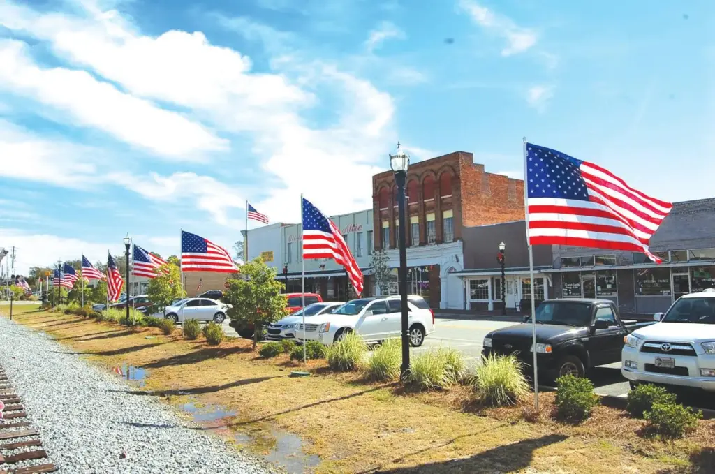 Starlink Installation in Claxton, GA