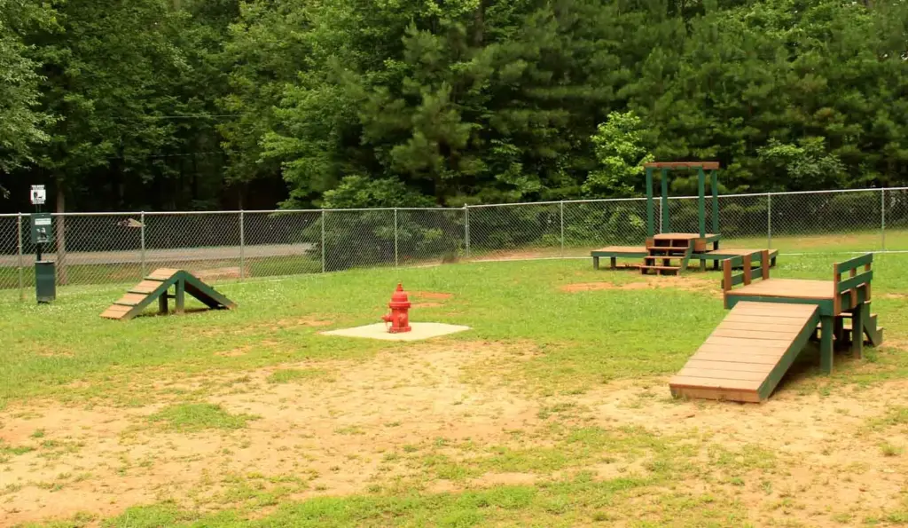 Starlink Installation in Jasper, GA