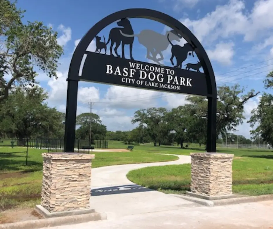 Starlink Installation in Lake Jackson, TX