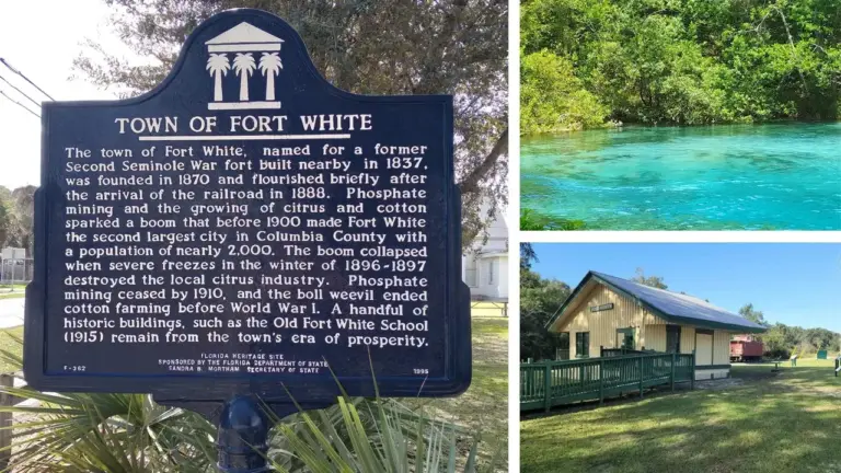 Starlink Installation in Fort White, FL